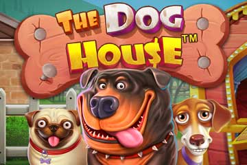 สล็อต The Dog House