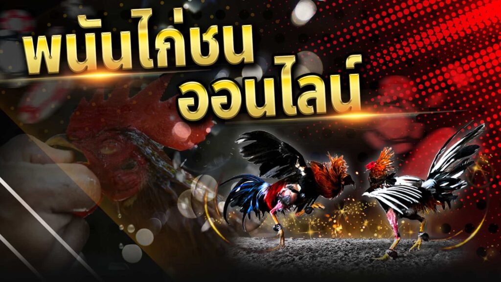 วิธีเล่น ไก่ชนออนไลน์